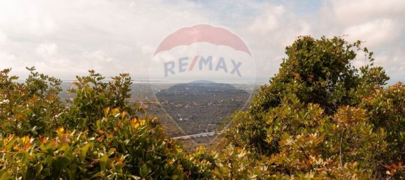 Земельный участок 114120м² в Ольян, Португалия № 41798 7