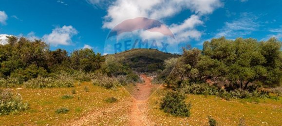 Земельный участок 114120м² в Ольян, Португалия № 41798 22