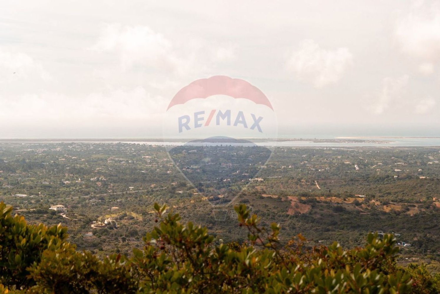 Земельный участок 114120м² в Ольян, Португалия № 41798