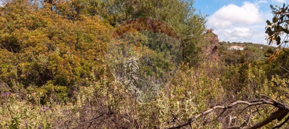 Земельный участок 114120м² в Ольян, Португалия № 41798 20