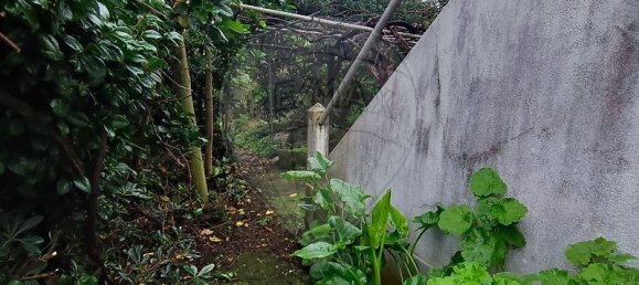 1 chambre Maison à Santa Cruz das Flores, Portugal No. 29743 4