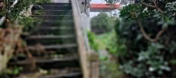 1 chambre Maison à Santa Cruz das Flores, Portugal No. 29743 3