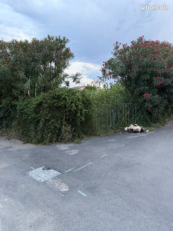 Grundstück in Pyrenees-Orientales, France, Nr. 318310