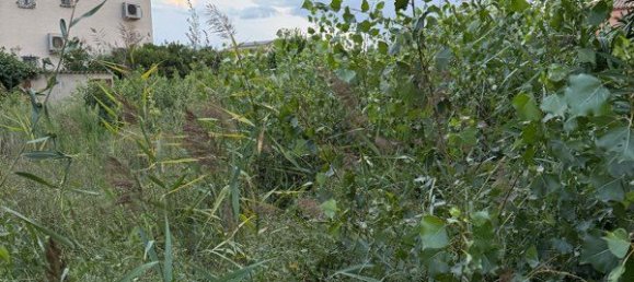 Grundstück in Pyrenees-Orientales, France, Nr. 318310 2