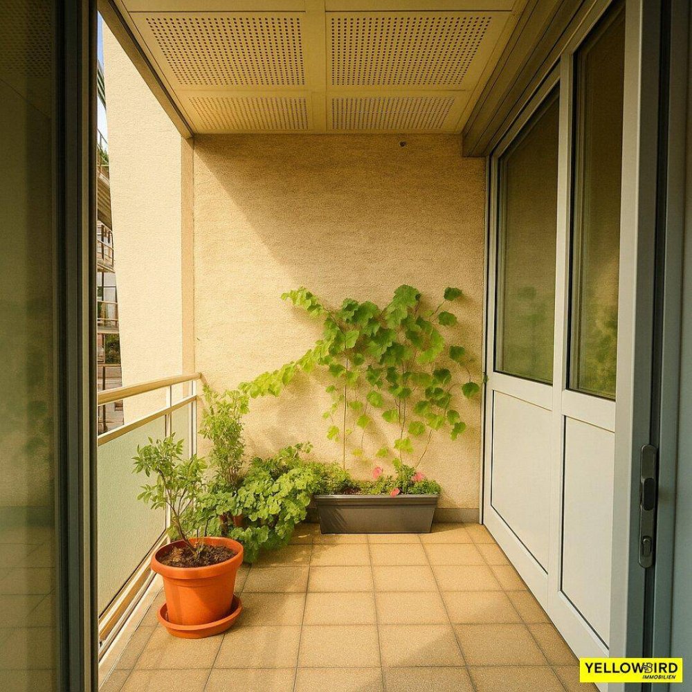 5-Zimmer Wohnung in Wien, Austria, Nr. 199601