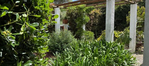 Casa de 5 dormitorios en Setubal, Portugal No. 117289 49