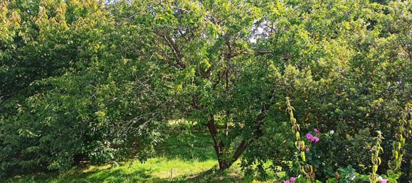 Grundstück in Saint-Aignan, France 2163m², Nr. 254133 3