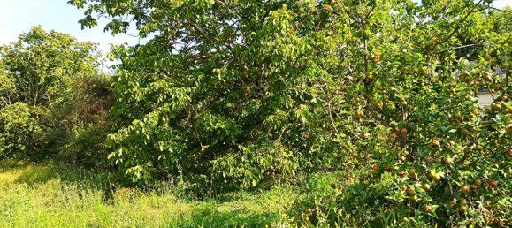 Grundstück in Saint-Aignan, France 2163m², Nr. 254133 5