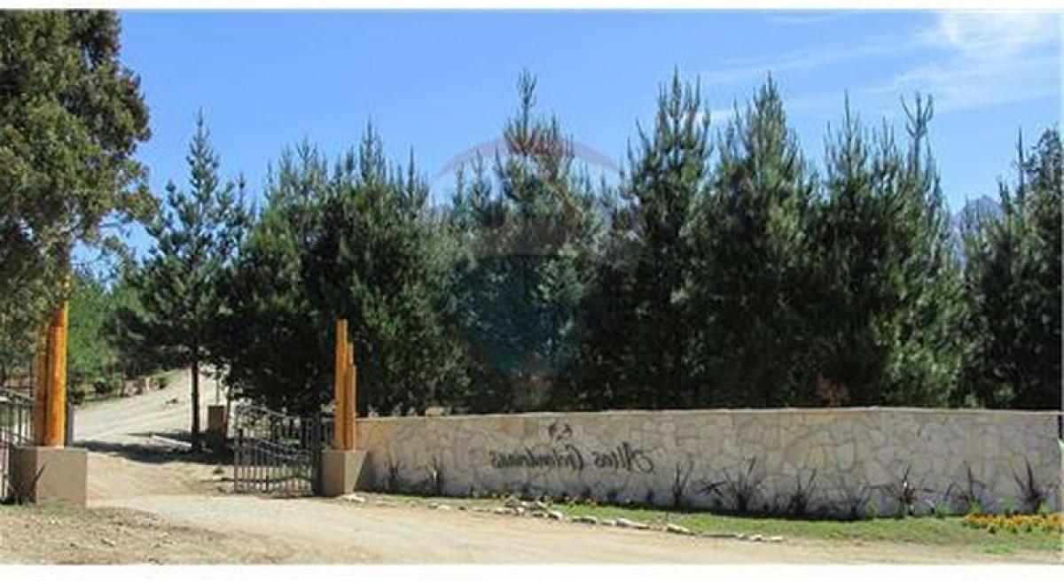  Land in Chubut, Argentina No. 31388
