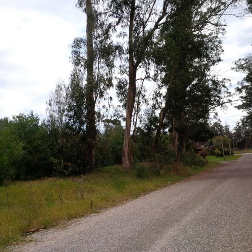  Land in Maldonado, Uruguay No. 15401