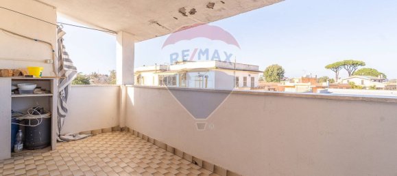 2 bedrooms Apartment in Nettuno, Italy No. 52567 14