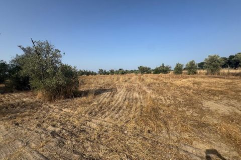  Land in Palmela, Portugal No. 252327
