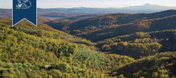 10 rooms Villa in Gaiole in Chianti, Italy No. 238830 3