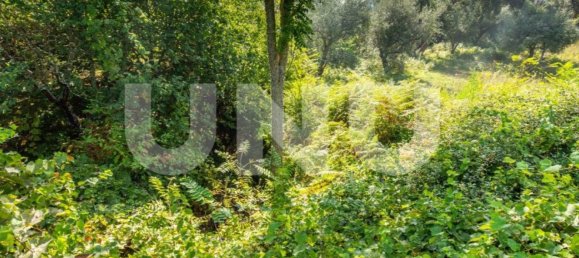 Terreno en Dominguizo, Portugal 1400 m² No. 76973 3