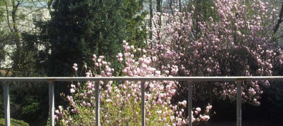 6 rooms Townhouse in Krefeld, Germany No. 41178 27