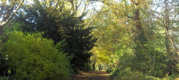 6 rooms Townhouse in Krefeld, Germany No. 41178 23