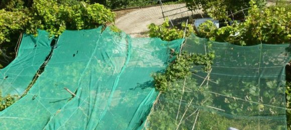 11غرفة منزل في Rapallo, Italy رقم 38441 47