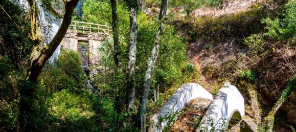 13 غرف نوم منزل في Colares, Portugal رقم 121276 29