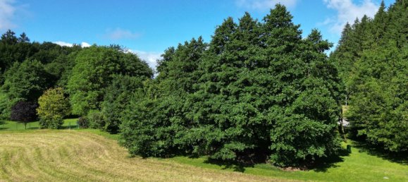  Land in Schiefling am Worthersee, Austria No. 128837 3