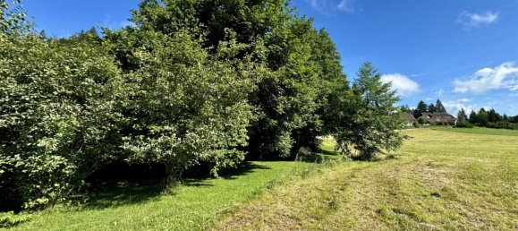  Land in Schiefling am Worthersee, Austria No. 128837 2