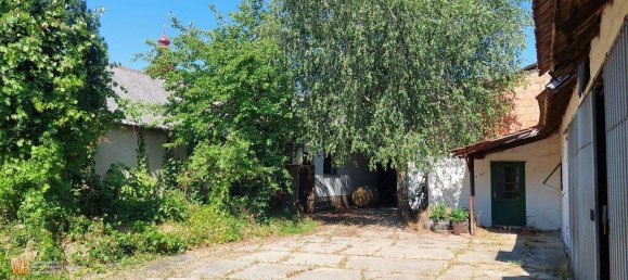 6-Zimmer Haus in Prellenkirchen, Austria, Nr. 143905 3