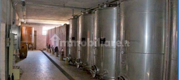 4 bedrooms Apartment in Vigolzone, Italy No. 226490 13