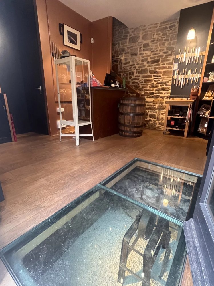 40m² Commercial property in Beaune, France No. 355850