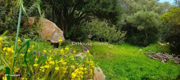 3 bedrooms House in Sotta, France No. 38595 5