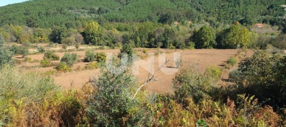 11000m² Land in Paul, Portugal No. 77023 6