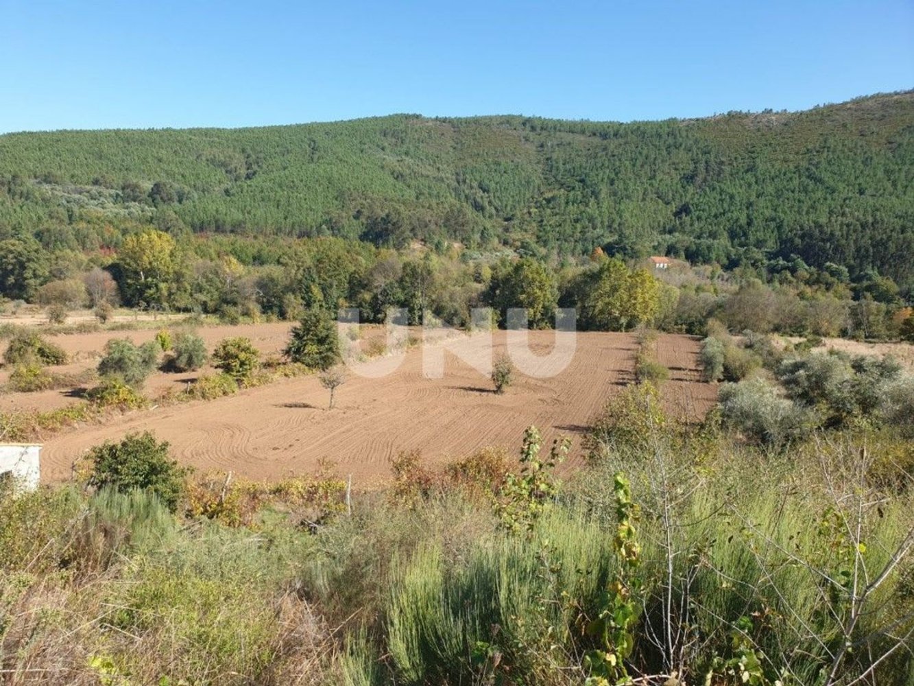 11000m² Land in Paul, Portugal No. 77023
