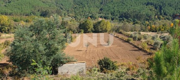 11000m² Land in Paul, Portugal No. 77023 2