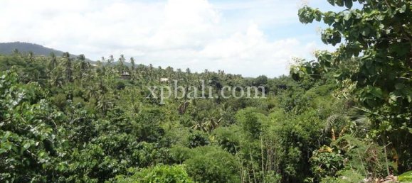Terrain à Negara, Indonesia 13250m² No. 3783 8