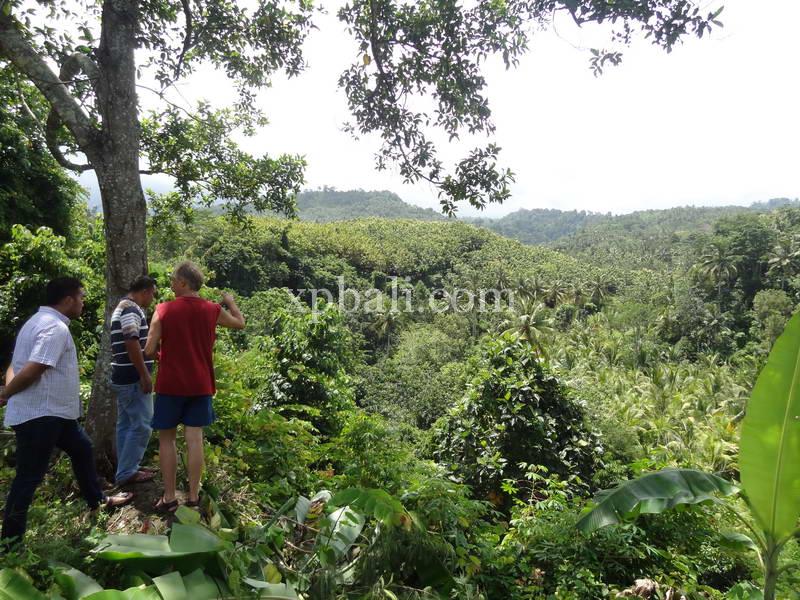 Terrain à Negara, Indonesia 13250m² No. 3783