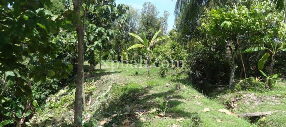 Terrain à Negara, Indonesia 13250m² No. 3783 6