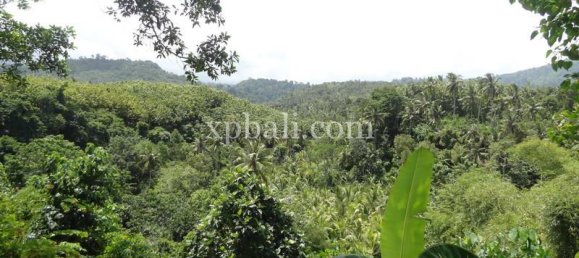 Terrain à Negara, Indonesia 13250m² No. 3783 4