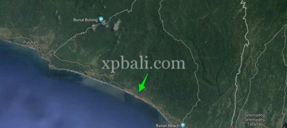 Terrain à Negara, Indonesia 13250m² No. 3783 2