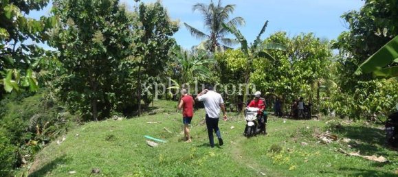 Terrain à Negara, Indonesia 13250m² No. 3783 9