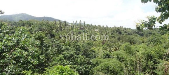 Terrain à Negara, Indonesia 13250m² No. 3783 10