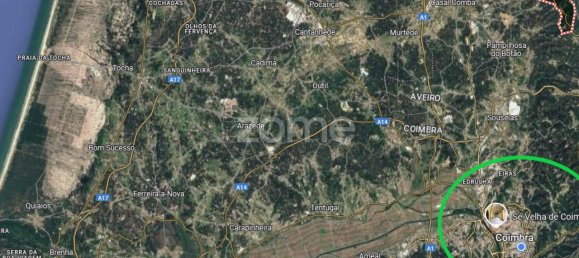 1120m² Land in Ventosa do Bairro, Portugal No. 87901 12