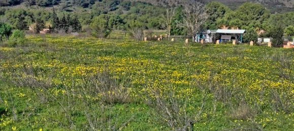 10608m² Land in Cartagena, Spain No. 181137 5