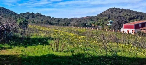 10608m² Land in Cartagena, Spain No. 181137 4