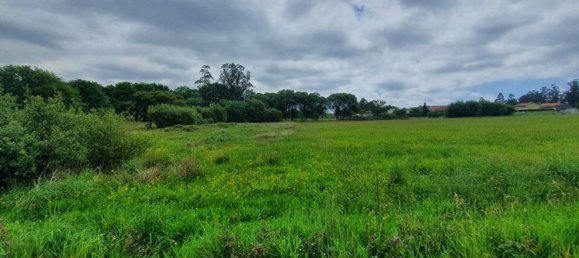 Grundstück in A Coruna, Spain 4305m², Nr. 44296 5