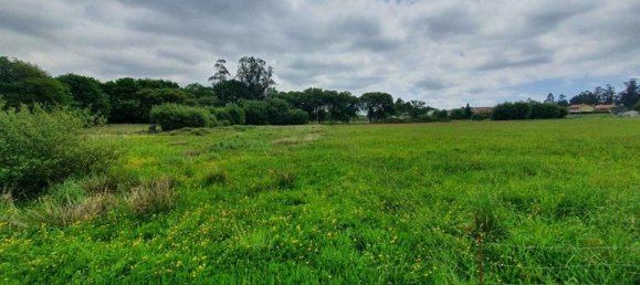 Grundstück in A Coruna, Spain 4305m², Nr. 44296 3