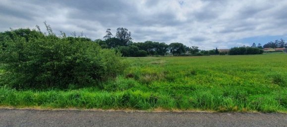 Grundstück in A Coruna, Spain 4305m², Nr. 44296 4