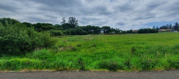 Grundstück in A Coruna, Spain 4305m², Nr. 44296 7