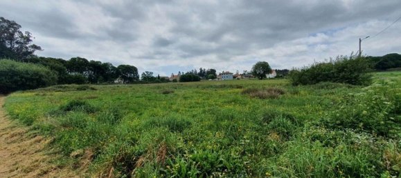 Grundstück in A Coruna, Spain 4305m², Nr. 44296 8