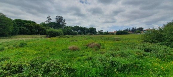 Grundstück in A Coruna, Spain 4305m², Nr. 44296 6