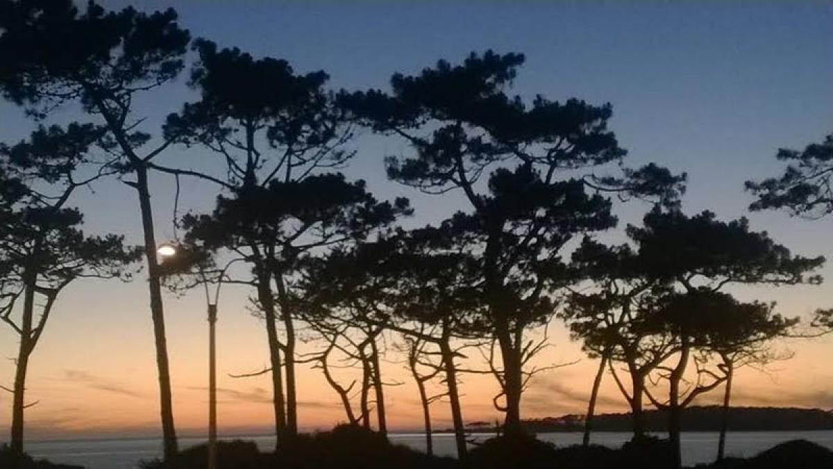 2 bedrooms Apartment in Maldonado, Uruguay No. 10737