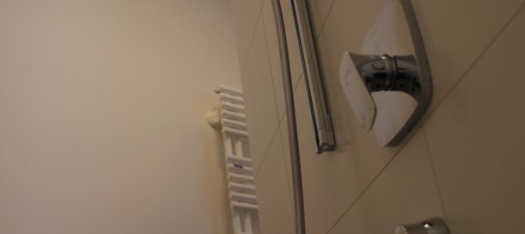 1 chambre Appartement à Baden-Wurttemberg, Germany No. 3423 6