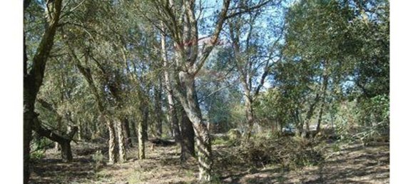 Terreno en Cartaxo, Portugal 4040 m² No. 90165 7